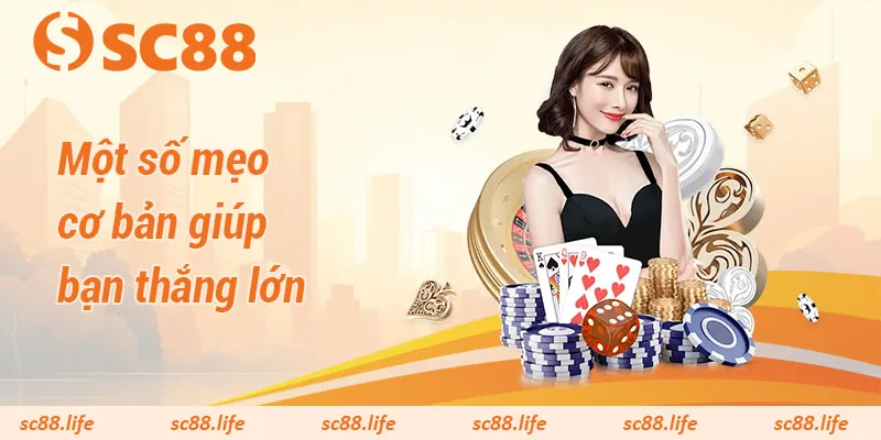 Một số mẹo cơ bản giúp bạn thắng lớn